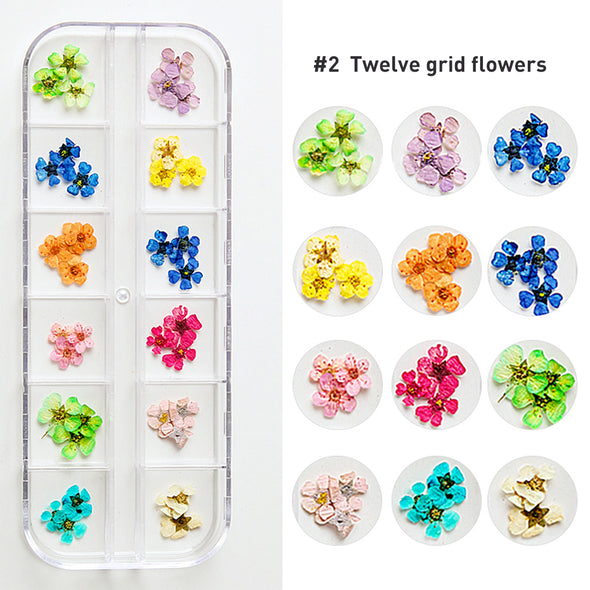Nail Art Dried Flower Jewelry Real Flower
